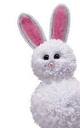 bunny_pin_th